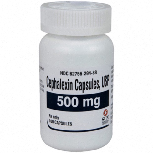 cephalexin