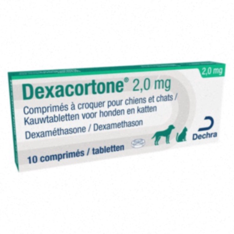 Decadron Dexaméthasone générique